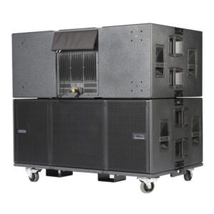 Loa sub vio s318